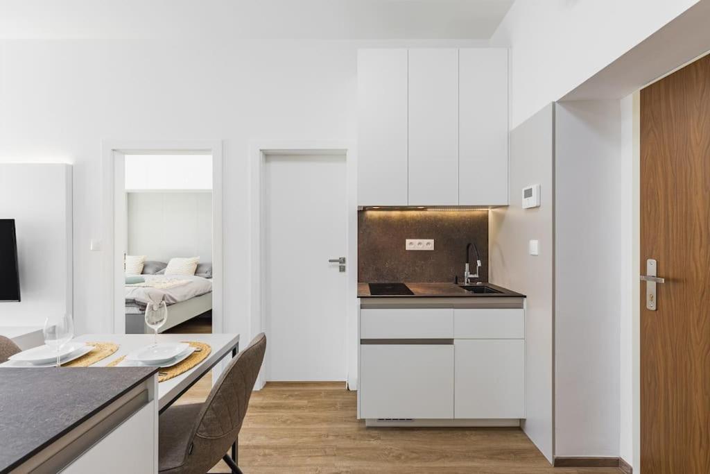 Stylish Next To President Palace Apartament