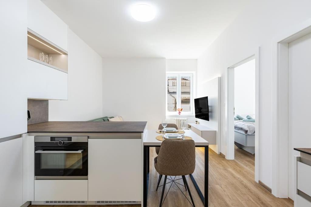 Stylish Next To President Palace Apartament